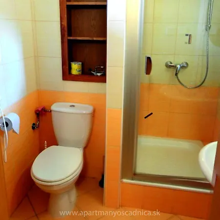 Apartman Oscadnica アパート オシュチュニツァ